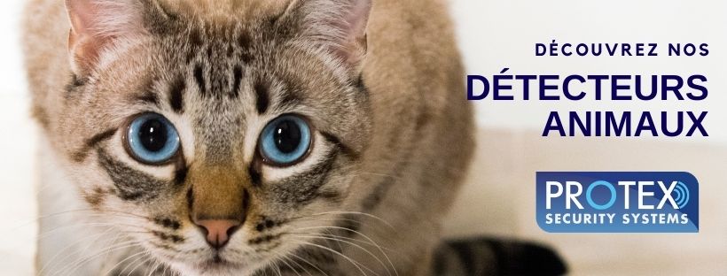 Découvrez nos détecteurs pour Animaux domestiques.