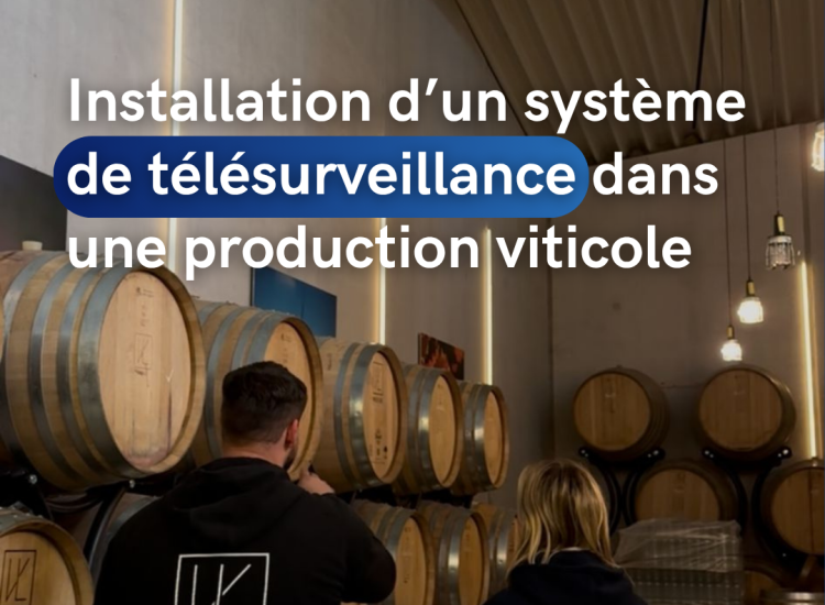 Installation d’une alarme de sécurité pour une production agricole